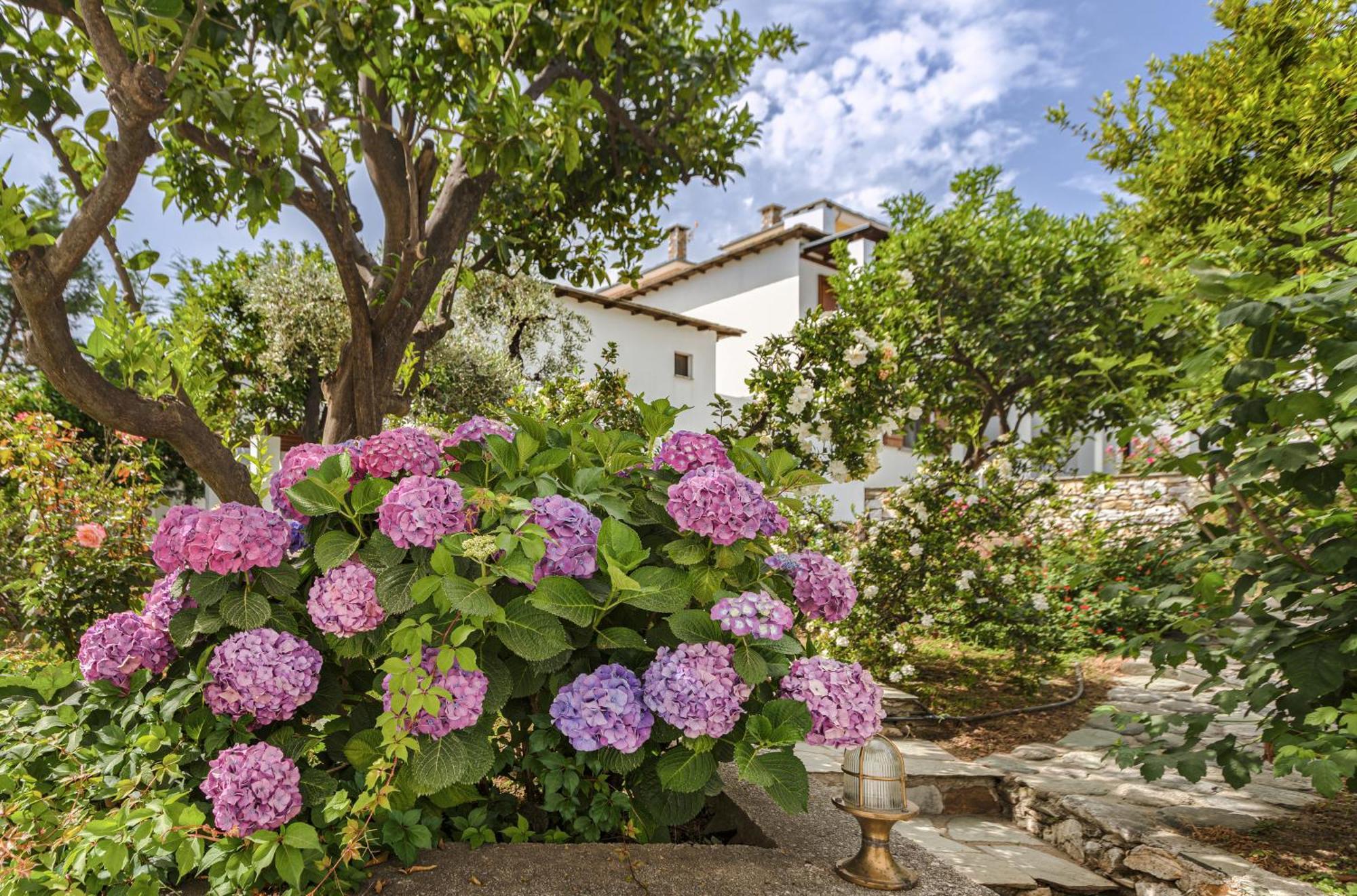 Aeolos Hotel & Villas - Pelion Khorevtón Exterior foto